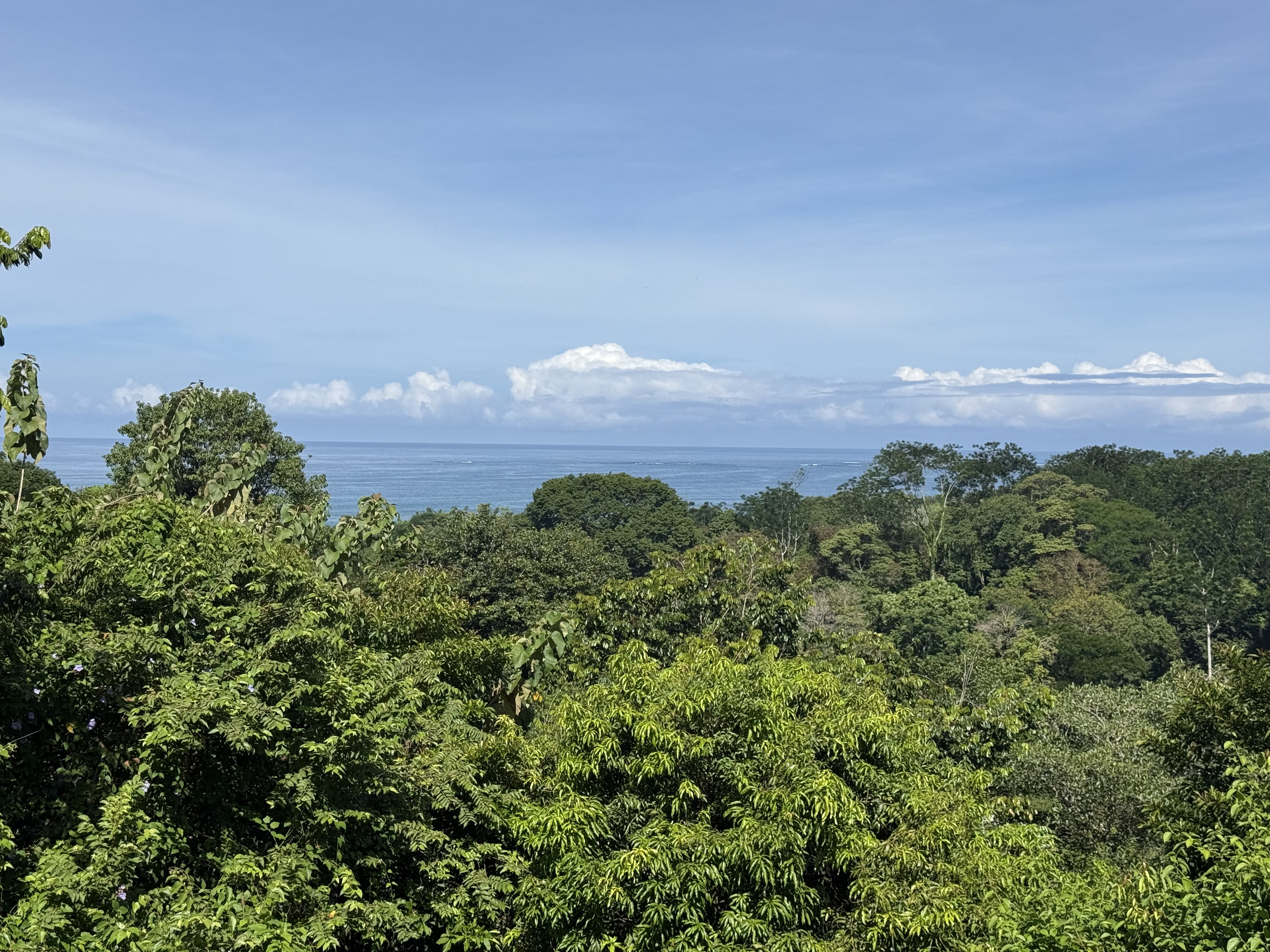 0 bed Land For Sale in Uvita, Puntarenas - thumb 22