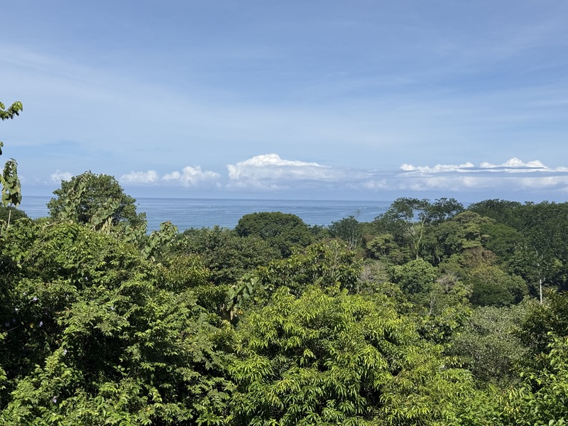 0 bed Land For Sale in Uvita, Puntarenas - hero 22