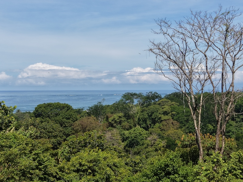 0 bed Land For Sale in Uvita, Puntarenas - hero 11