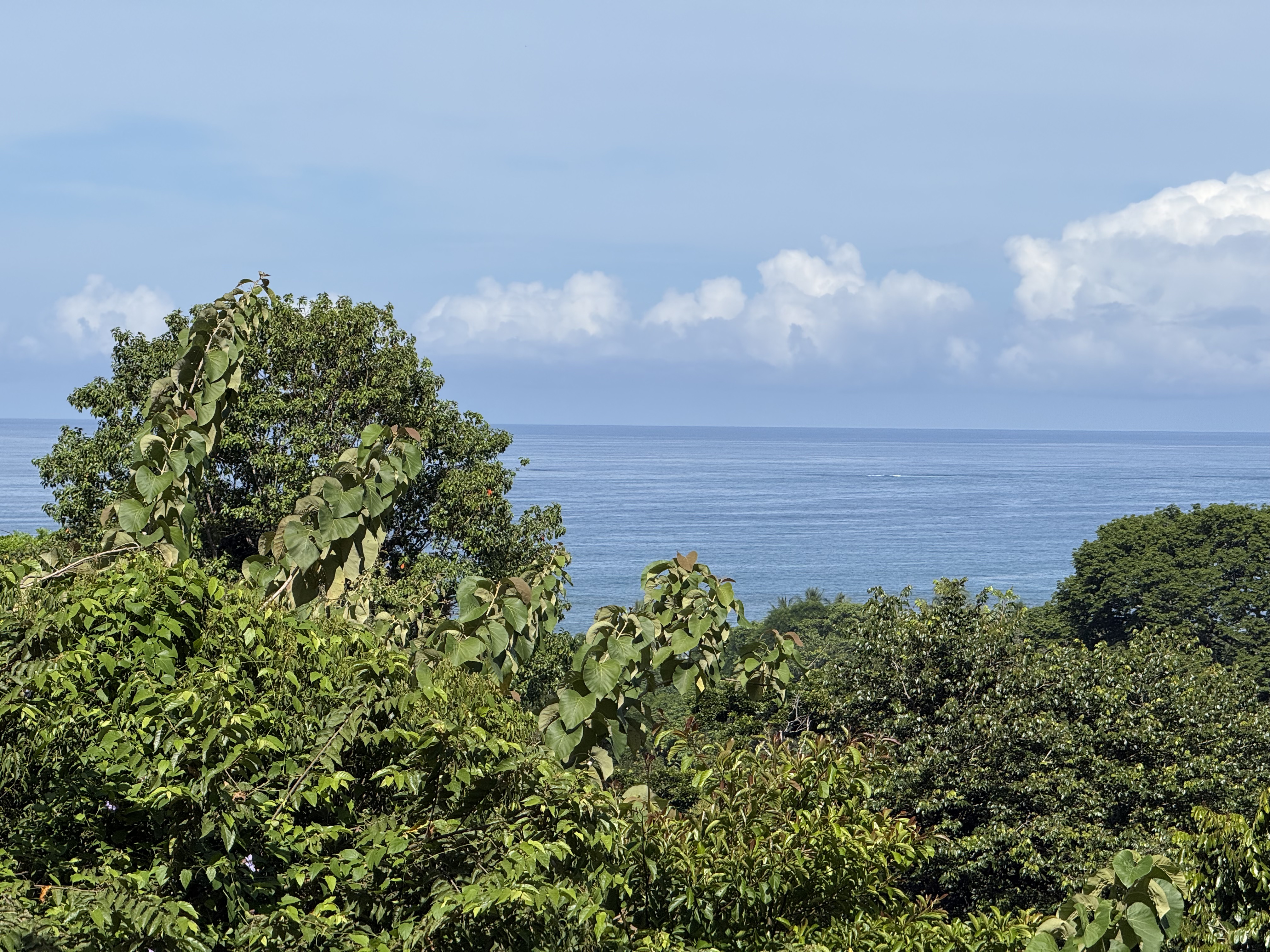 0 bed Land For Sale in Uvita, Puntarenas - thumb 2