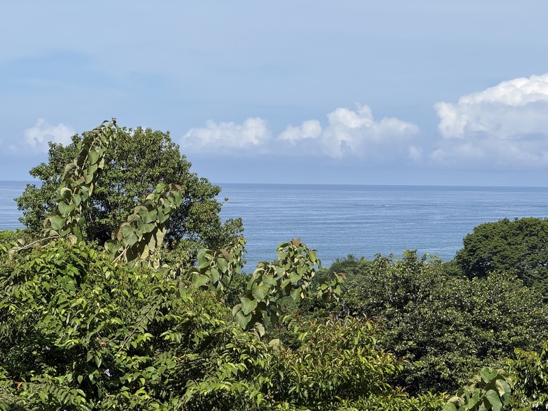 0 bed Land For Sale in Uvita, Puntarenas - hero 2