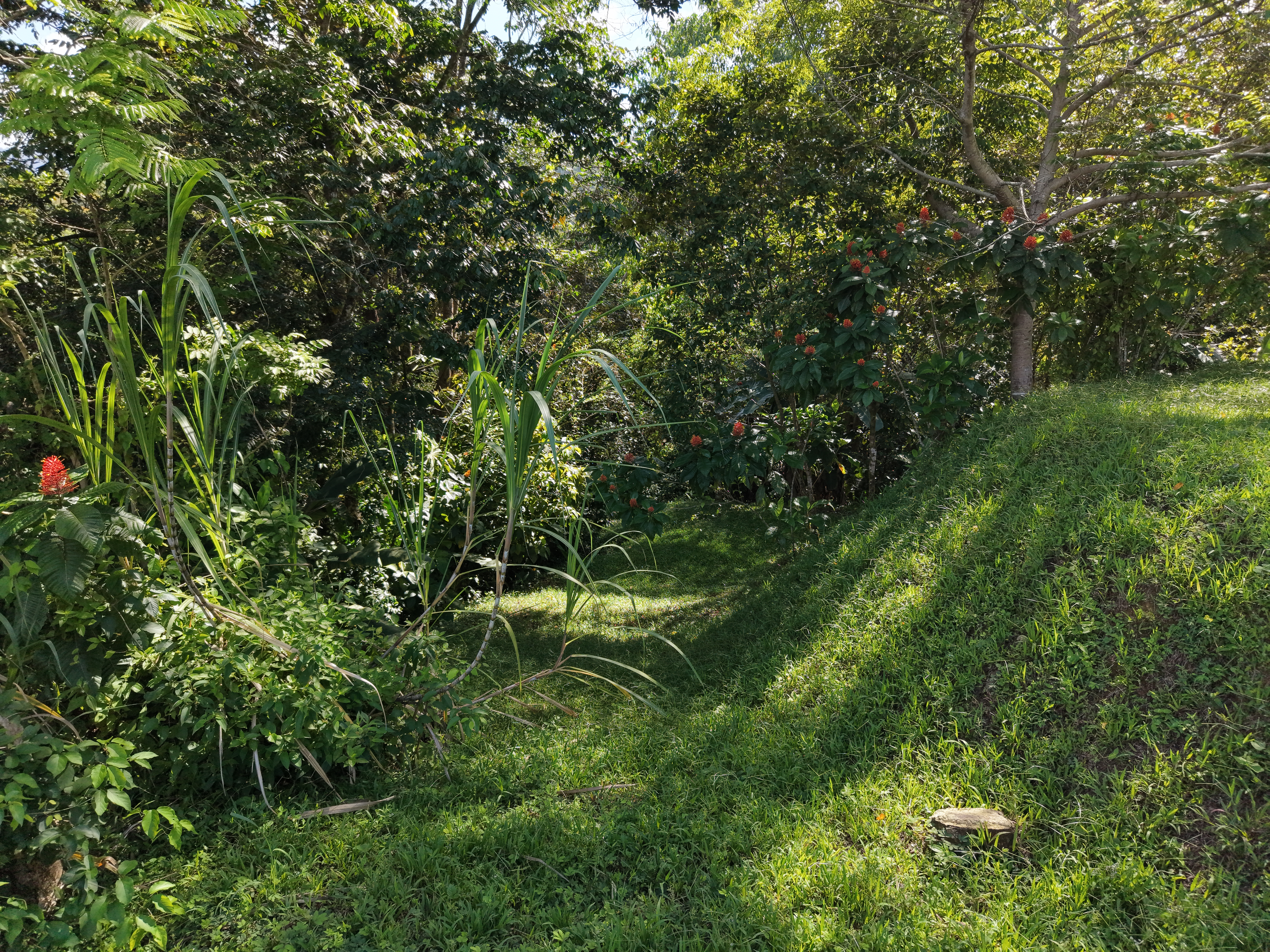 0 bed Land For Sale in Uvita, Puntarenas - thumb 18