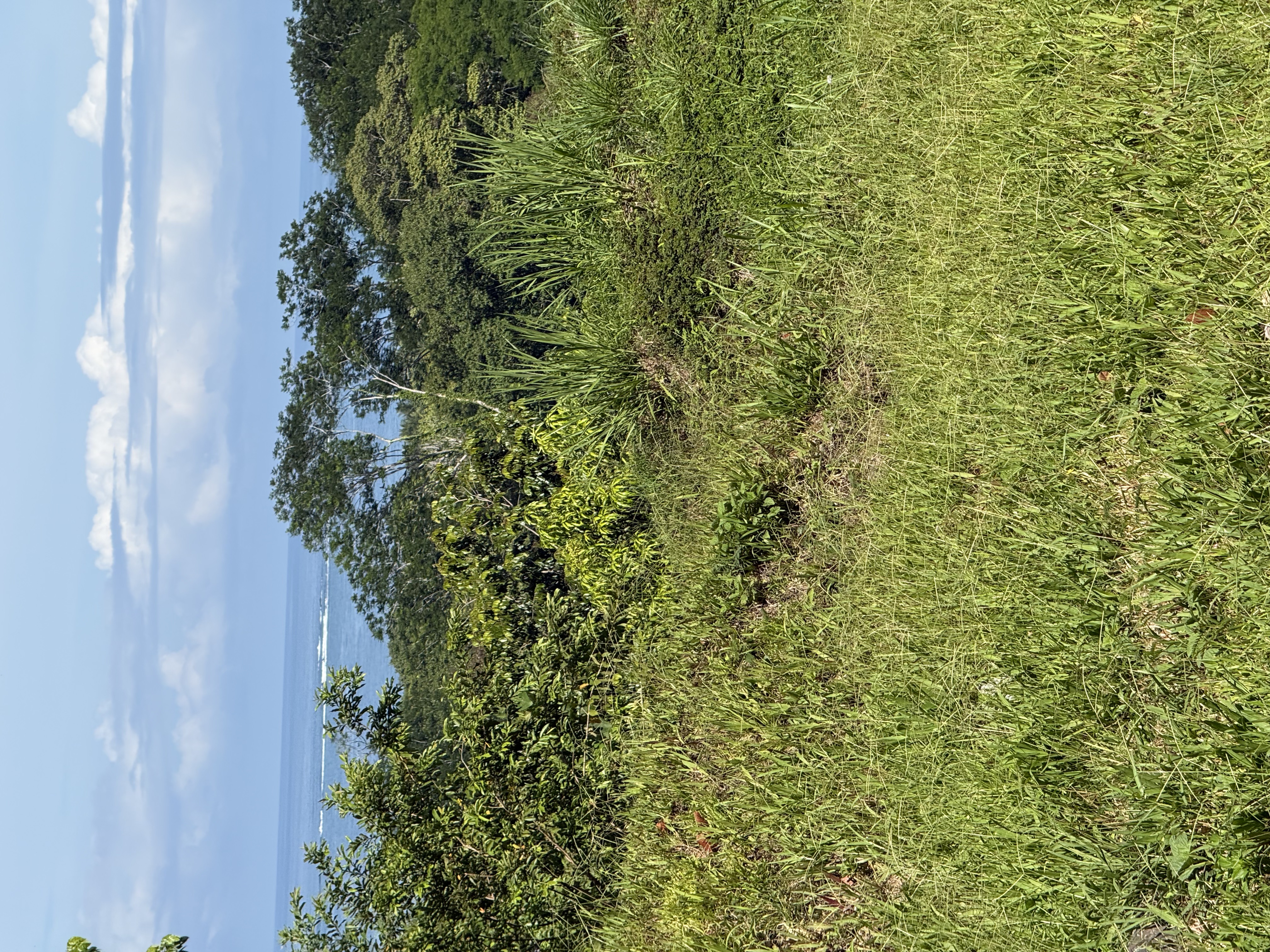 0 bed Land For Sale in Uvita, Puntarenas - thumb 20