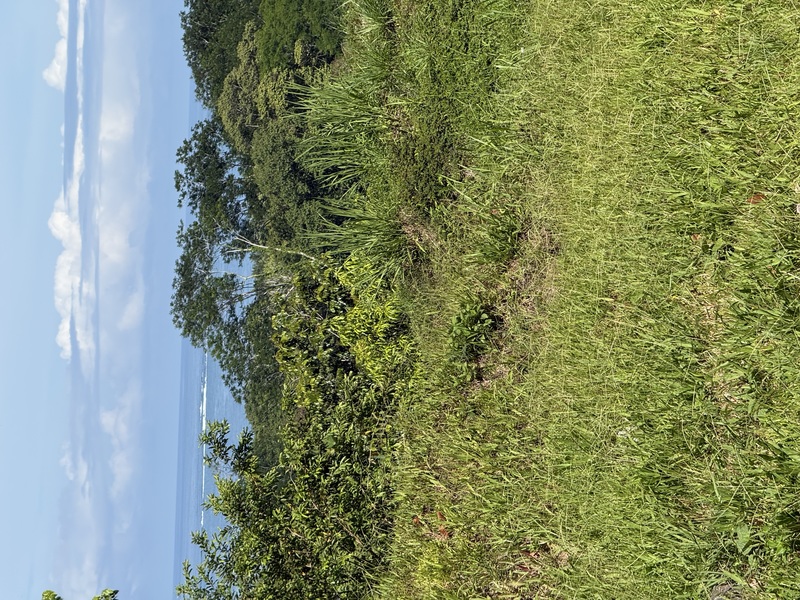 0 bed Land For Sale in Uvita, Puntarenas - hero 20