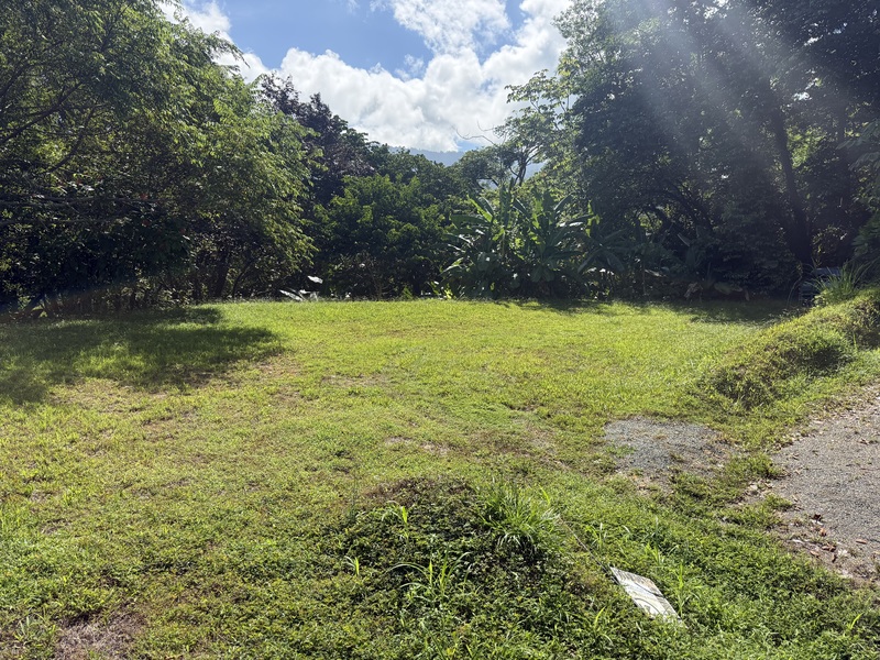0 bed Land For Sale in Uvita, Puntarenas - hero 8