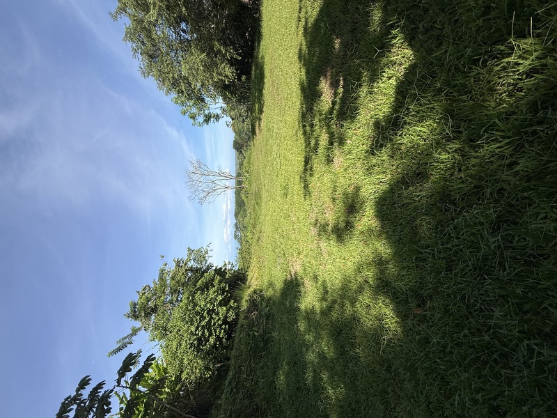 0 bed Land For Sale in Uvita, Puntarenas - hero 7