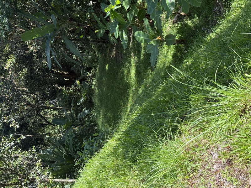 0 bed Land For Sale in Uvita, Puntarenas - hero 21