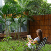  - Laughing Gecko Suites | Coastal Boutique Hotel Steps from the Beach