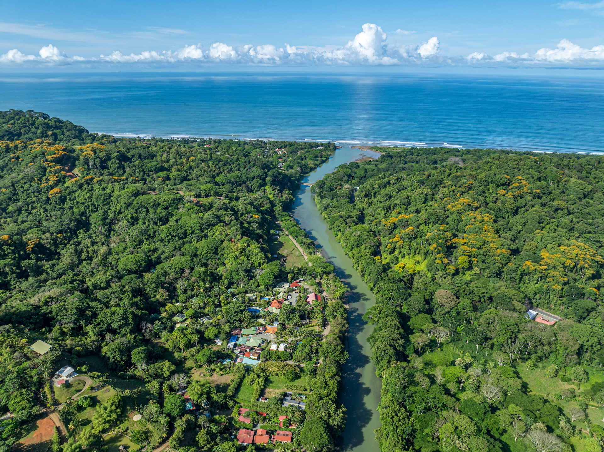 5 bed Single Family Homes For Sale in Dominical, Puntarenas - thumb 3