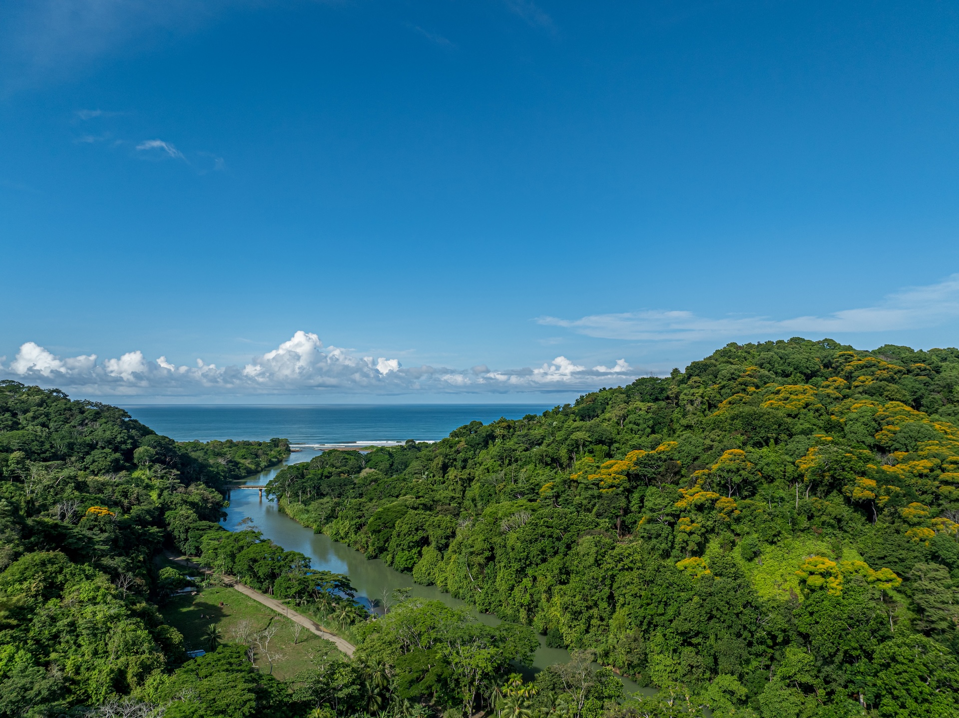 5 bed Single Family Homes For Sale in Dominical, Puntarenas - thumb 14