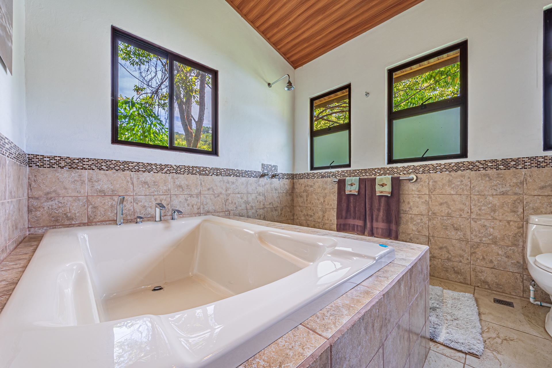 5 bed Single Family Homes For Sale in Dominical, Puntarenas - thumb 25