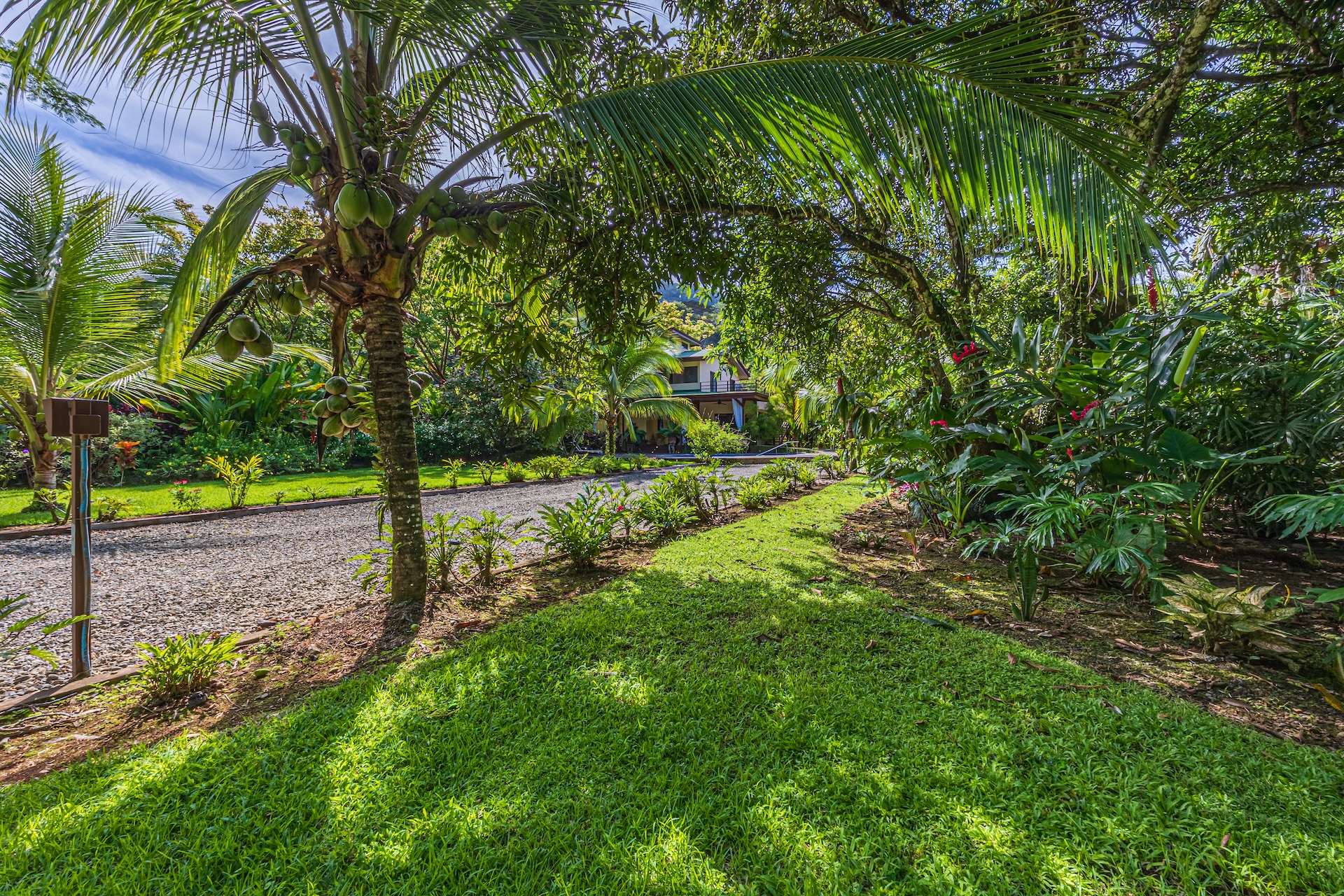 5 bed Single Family Homes For Sale in Dominical, Puntarenas - thumb 11