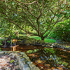  - Walk to Dominical Beach - 5 Bedroom Home with Pool & Huge Rental Potential