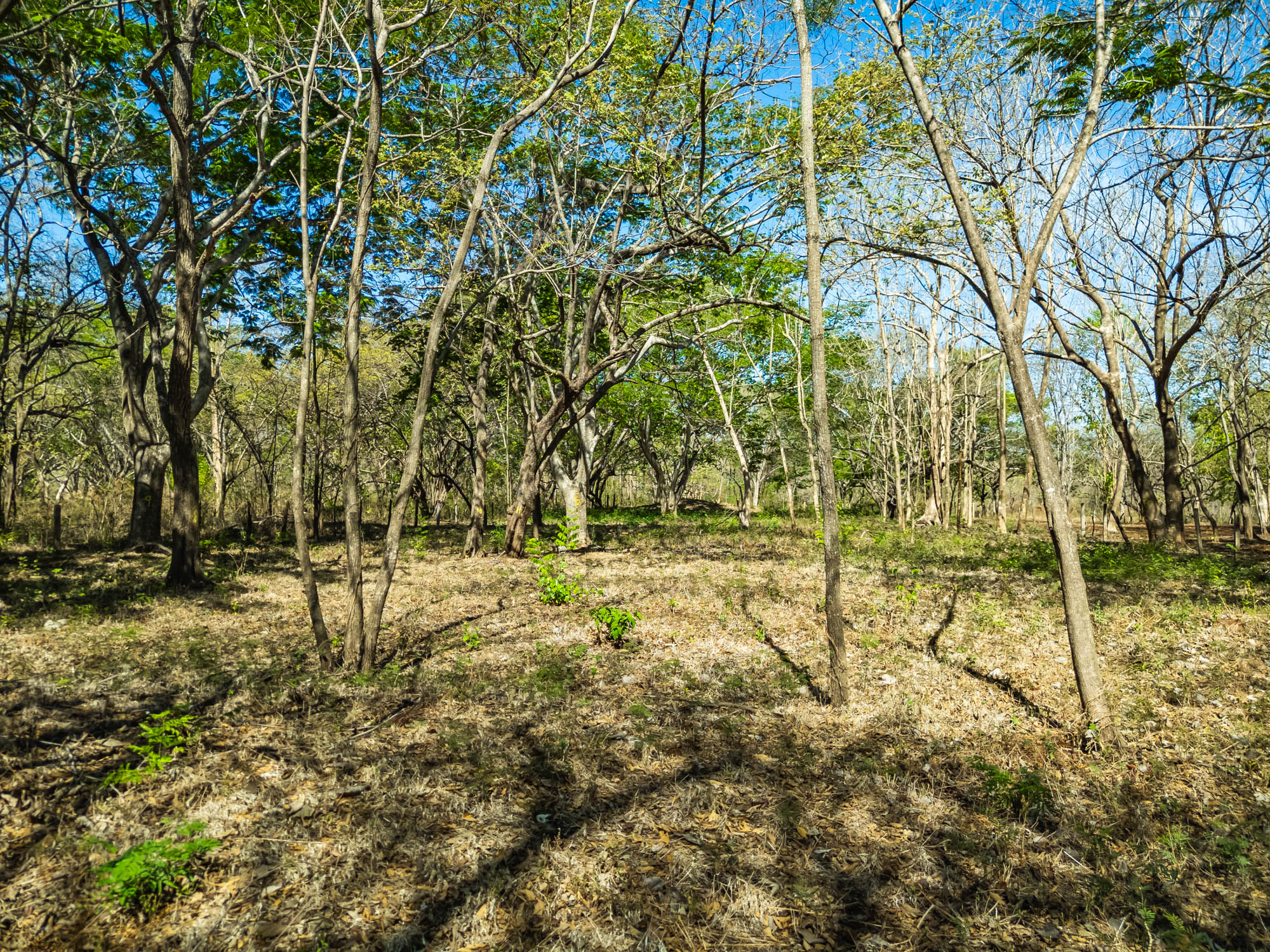 0 bed Land For Sale in Avellanas, Guanacaste - thumb 8