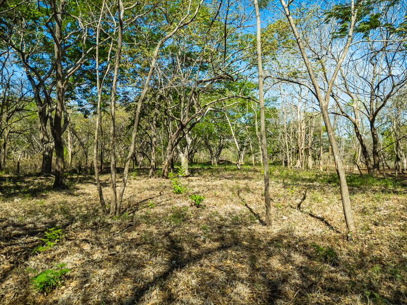 0 bed Land For Sale in Avellanas, Guanacaste - hero 8