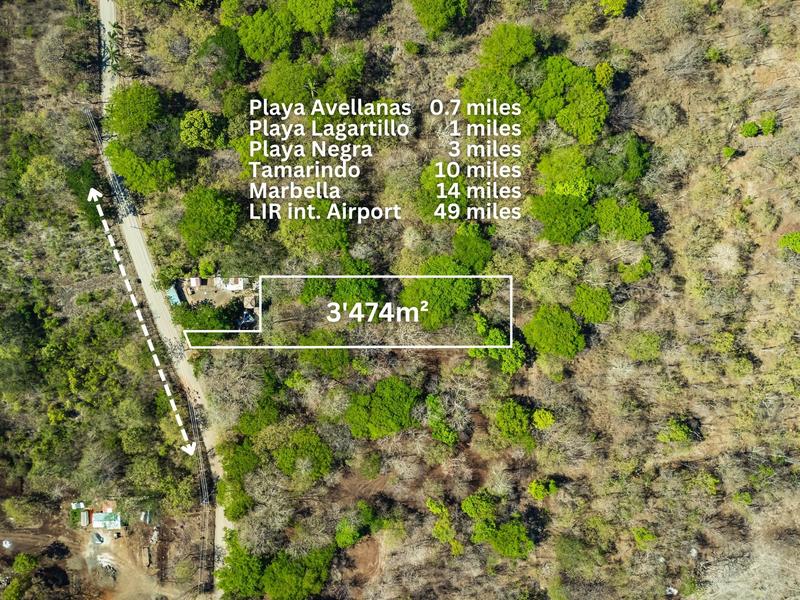 0 bed Land For Sale in Avellanas, Guanacaste - hero 5