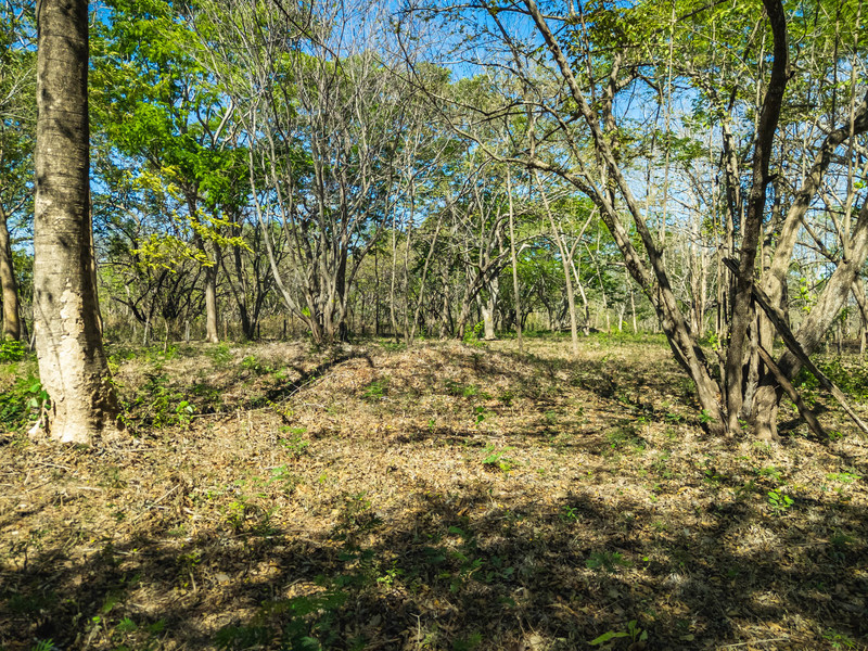 0 bed Land For Sale in Avellanas, Guanacaste - hero 7