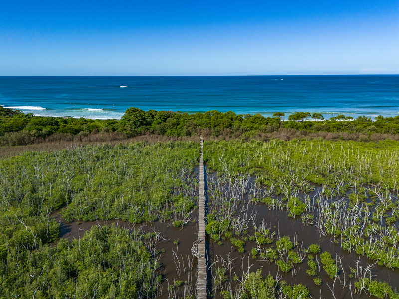 0 bed Land For Sale in Avellanas, Guanacaste - hero 10