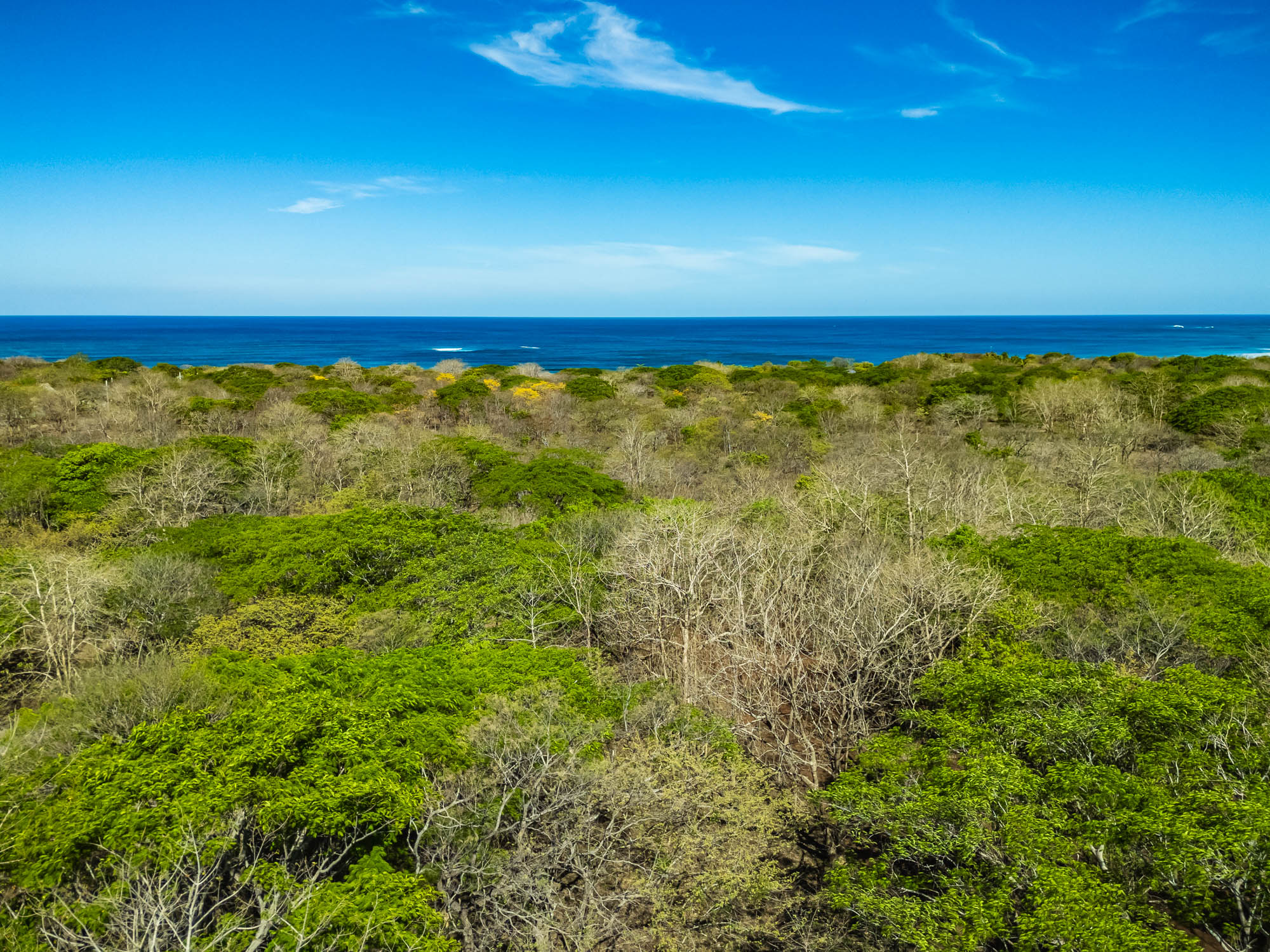 0 bed Land For Sale in Avellanas, Guanacaste - thumb 6
