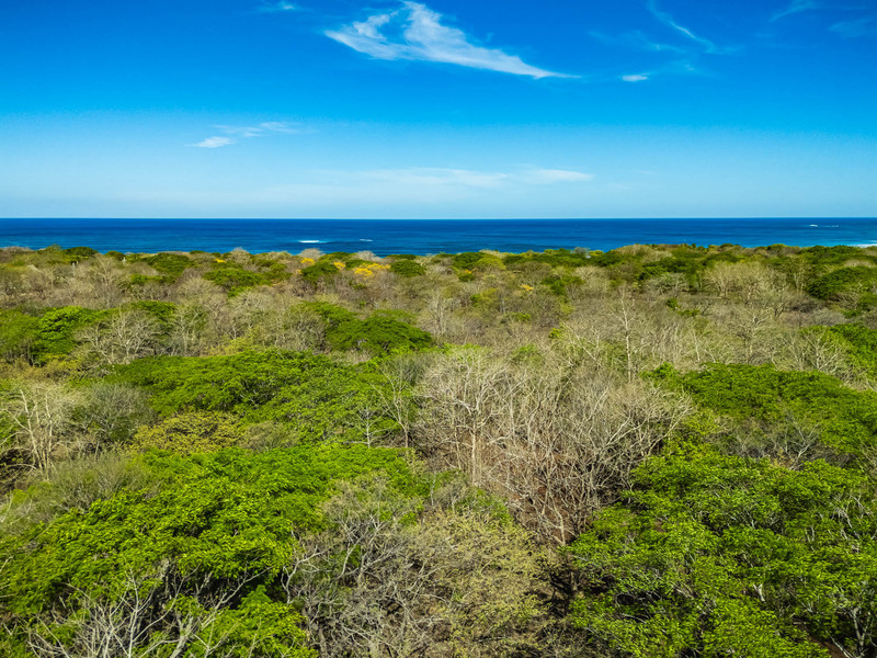 0 bed Land For Sale in Avellanas, Guanacaste - hero 6