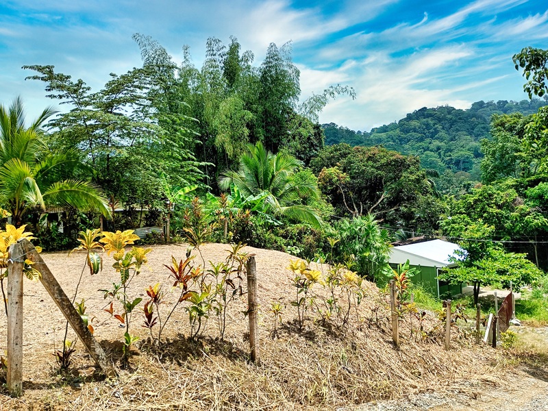 0 bed Land For Sale in Cahuita, Limón - hero 4