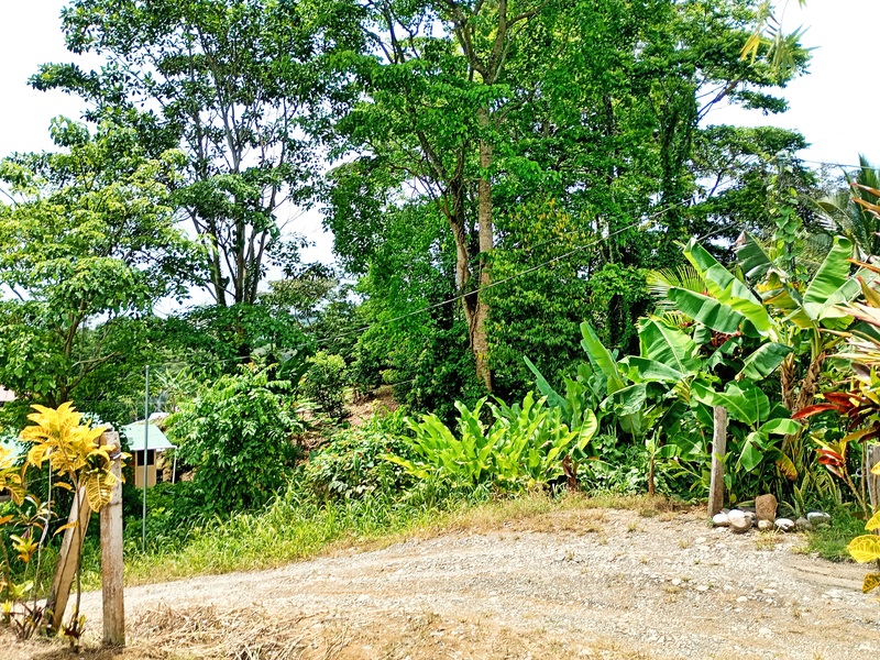 0 bed Land For Sale in Cahuita, Limón - hero 12
