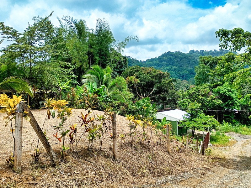 0 bed Land For Sale in Cahuita, Limón - hero 3