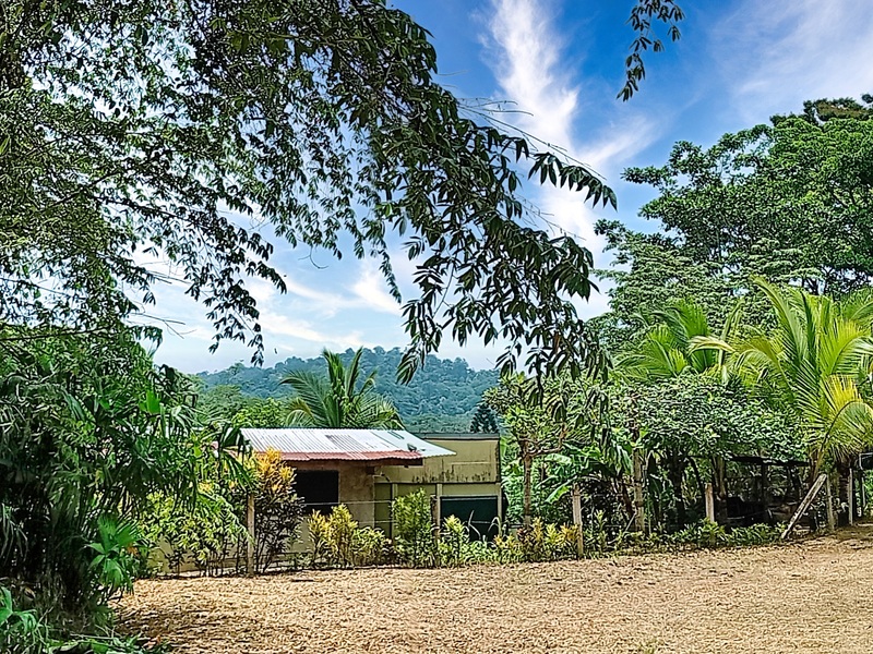 0 bed Land For Sale in Cahuita, Limón - hero 8