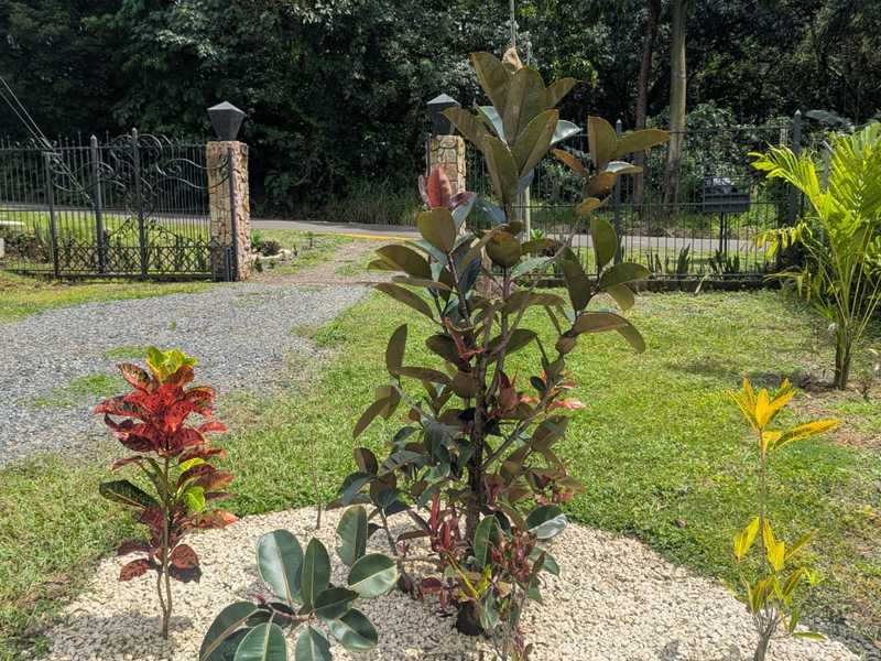4 bed Single Family Homes For Sale in Orotina, Alajuela - hero 19