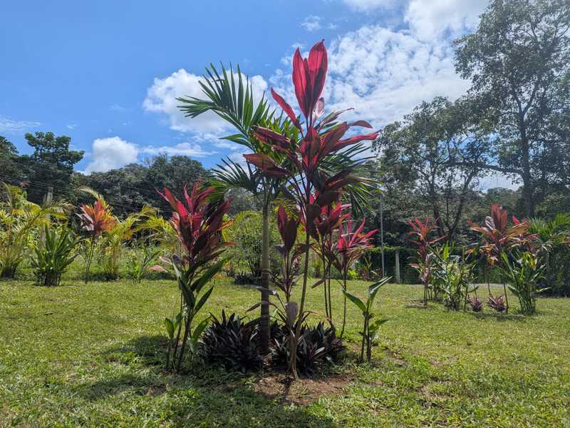 4 bed Single Family Homes For Sale in Orotina, Alajuela - hero 11