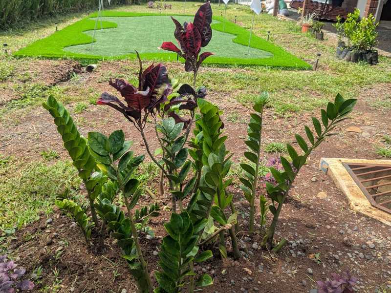 4 bed Single Family Homes For Sale in Orotina, Alajuela - hero 9