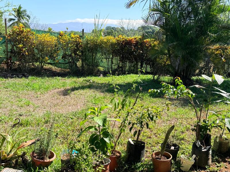 3 bed Single Family Homes For Sale in Atenas, Alajuela - hero 21