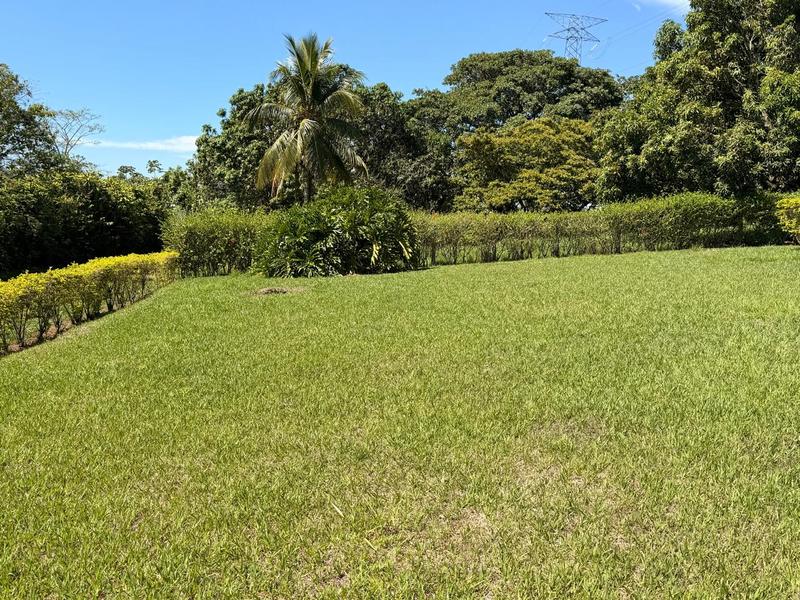3 bed Single Family Homes For Sale in Atenas, Alajuela - hero 24