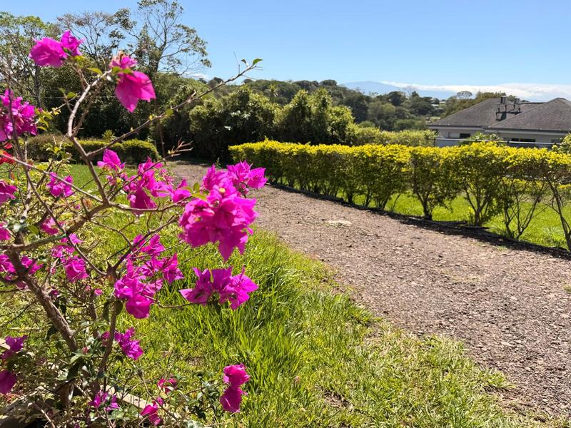 3 bed Single Family Homes For Sale in Atenas, Alajuela - hero 26
