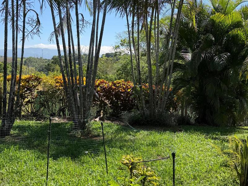 3 bed Single Family Homes For Sale in Atenas, Alajuela - hero 19