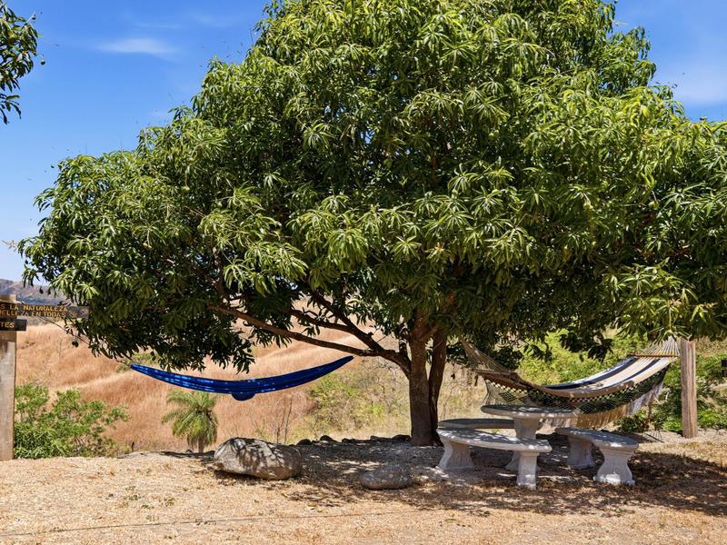 3 bed Single Family Homes For Sale in Playa Potrero, Guanacaste - hero 22