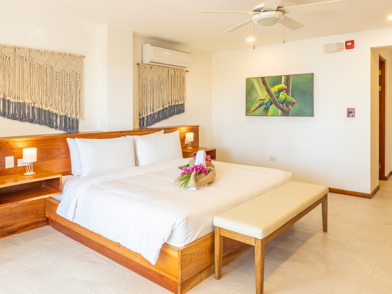 4 bed Hotel / Leisure For Sale in Samara, Guanacaste - hero 12