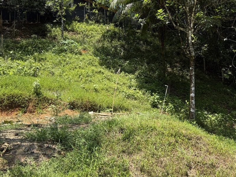 0 bed Land For Sale in Ojochal, Puntarenas - hero 4