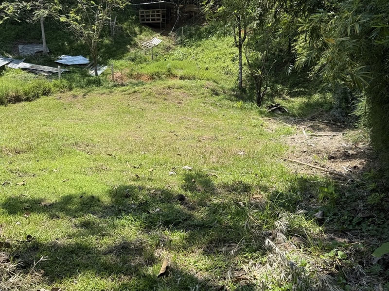 0 bed Land For Sale in Ojochal, Puntarenas - hero 3