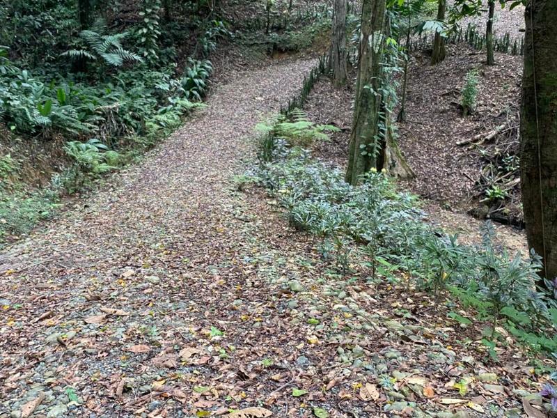 0 bed Land For Sale in Puerto Viejo, Limón - hero 6