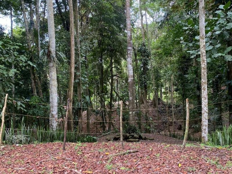 0 bed Land For Sale in Puerto Viejo, Limón - hero 4