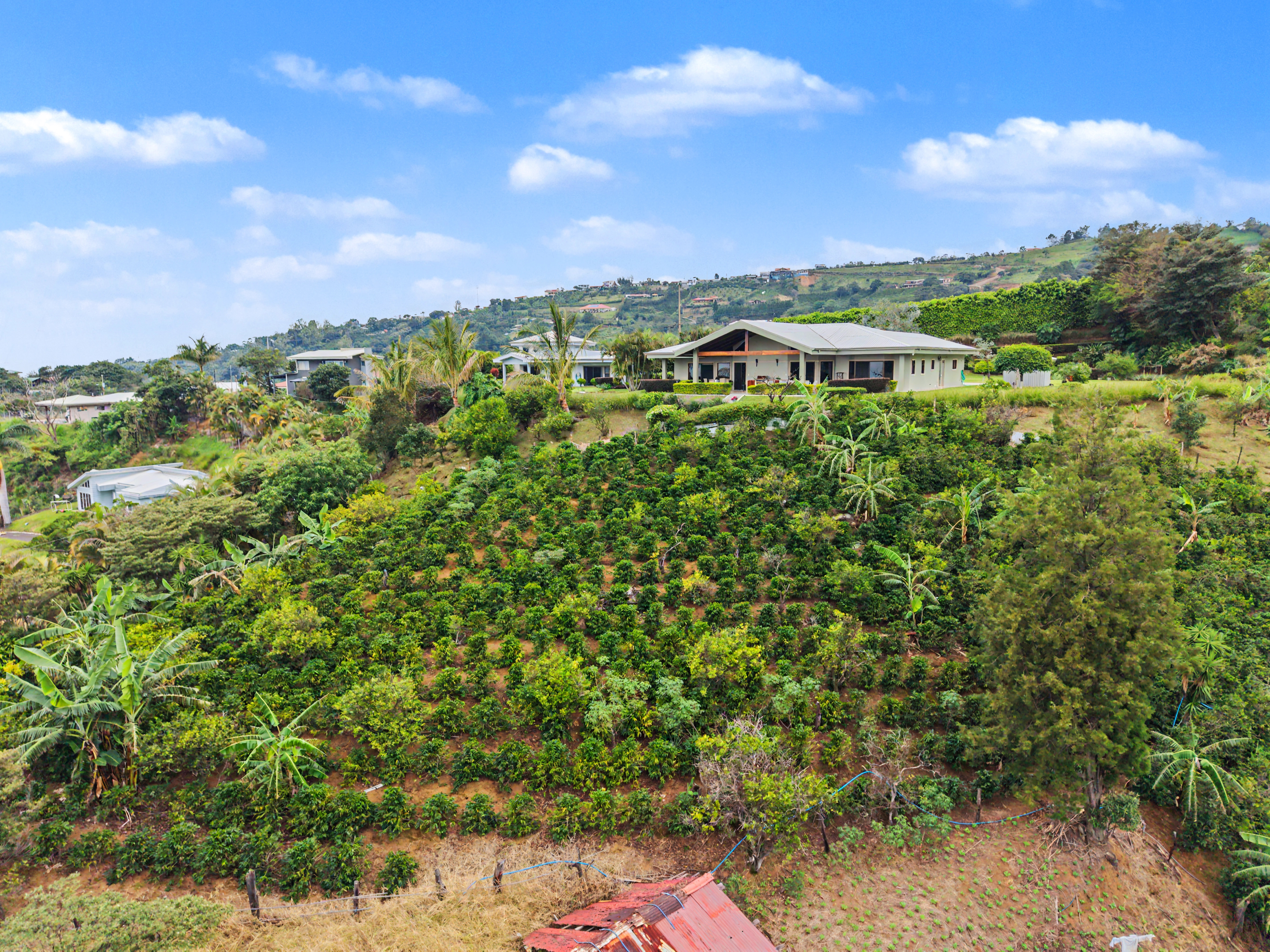 5 bed Single Family Homes For Sale in Grecia, Alajuela - thumb 4