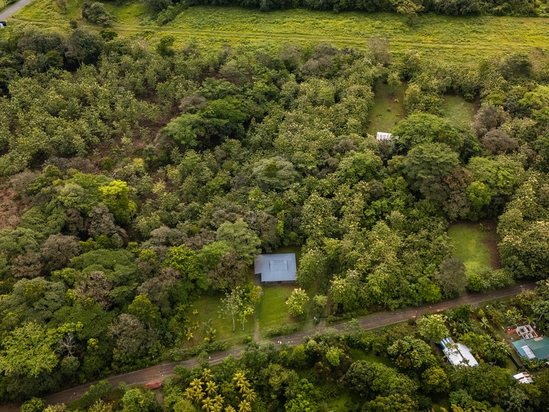 2 bed Single Family Homes For Sale in Puerto Jimenez, Puntarenas - hero 2