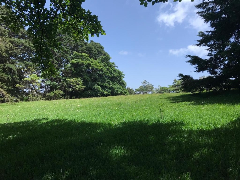 0 bed Land For Sale in Concepcion, Heredia - 1