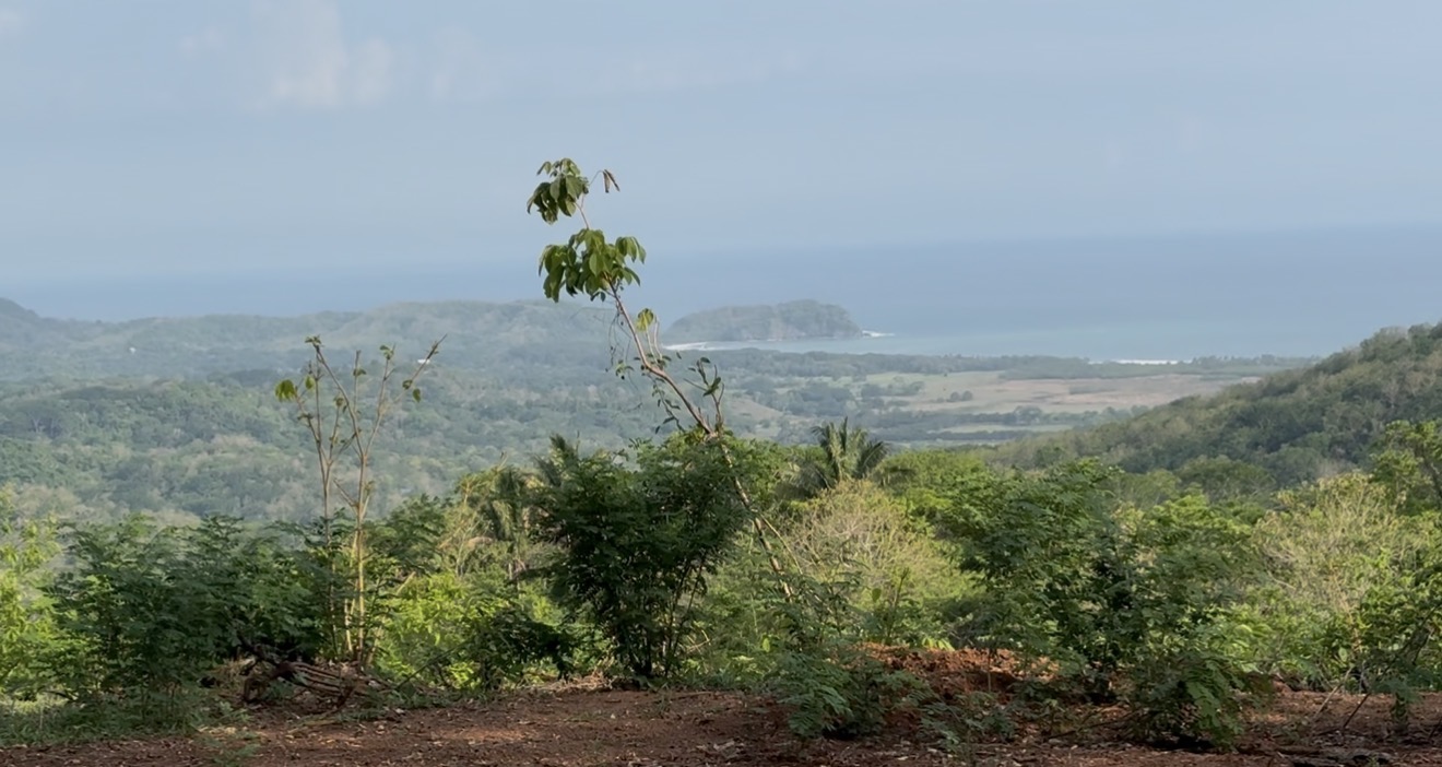 0 bed Land For Sale in Playa San Miguel, Guanacaste - thumb 6