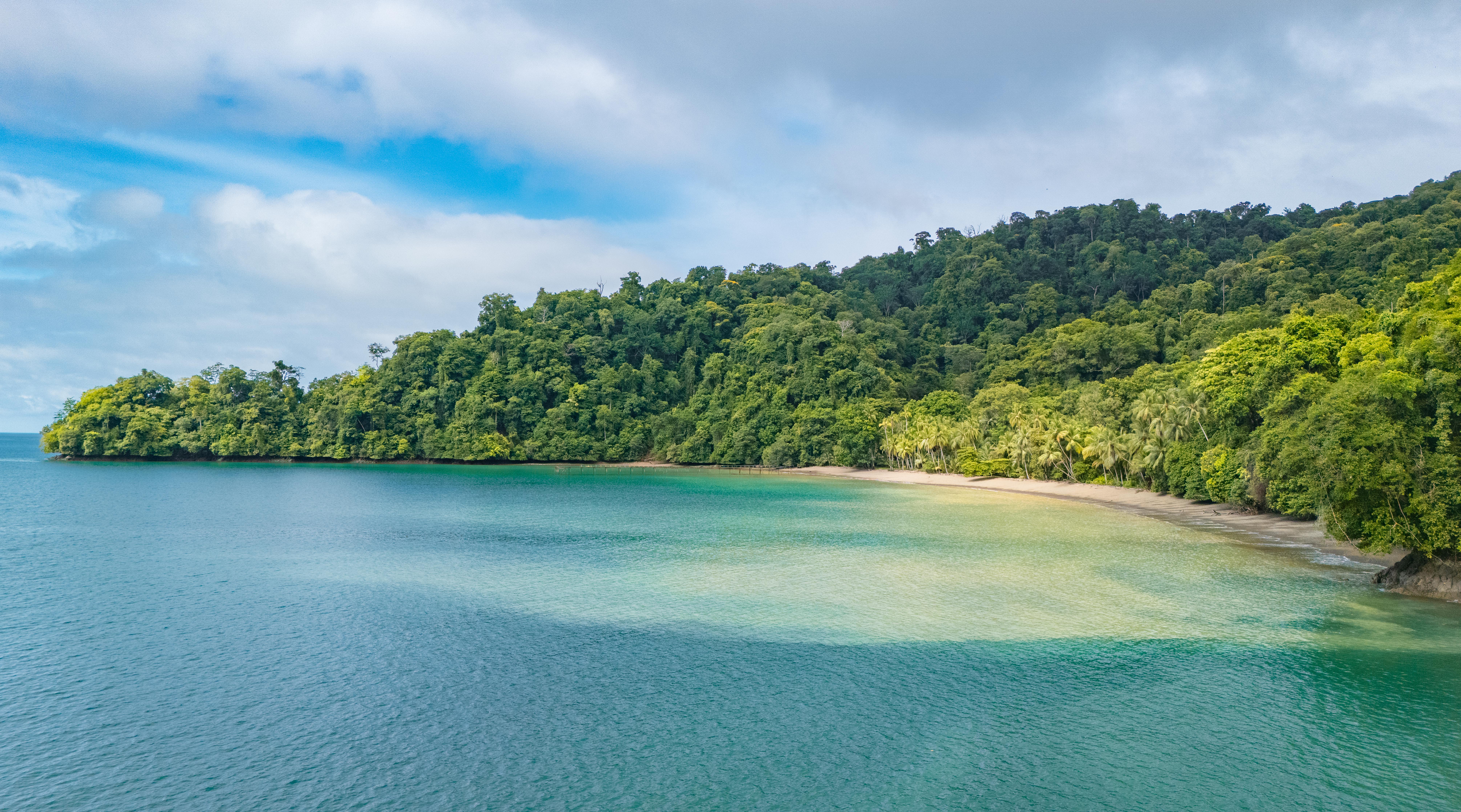 0 bed Land For Sale in Golfito, Puntarenas - thumb 2