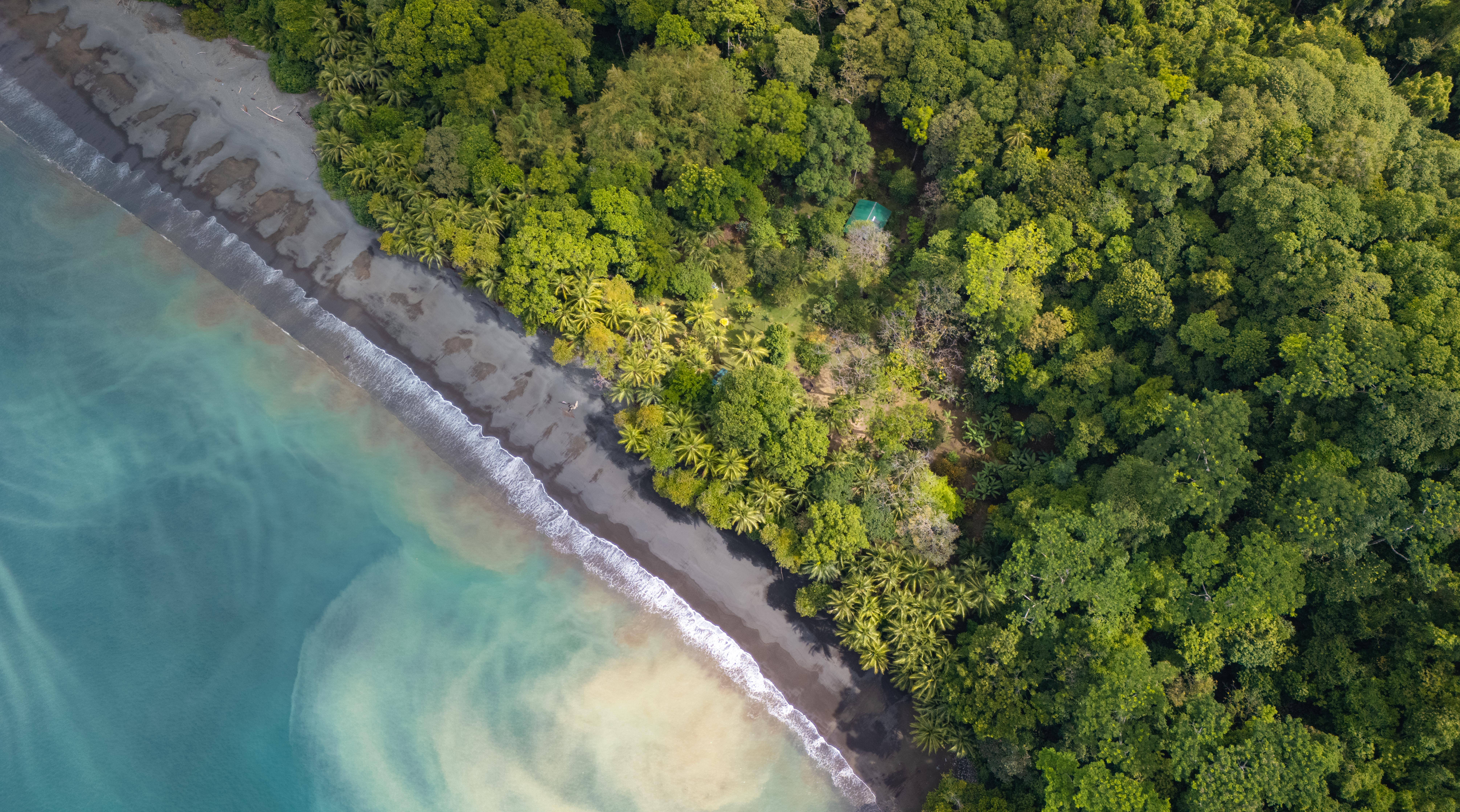 0 bed Land For Sale in Golfito, Puntarenas - thumb 7