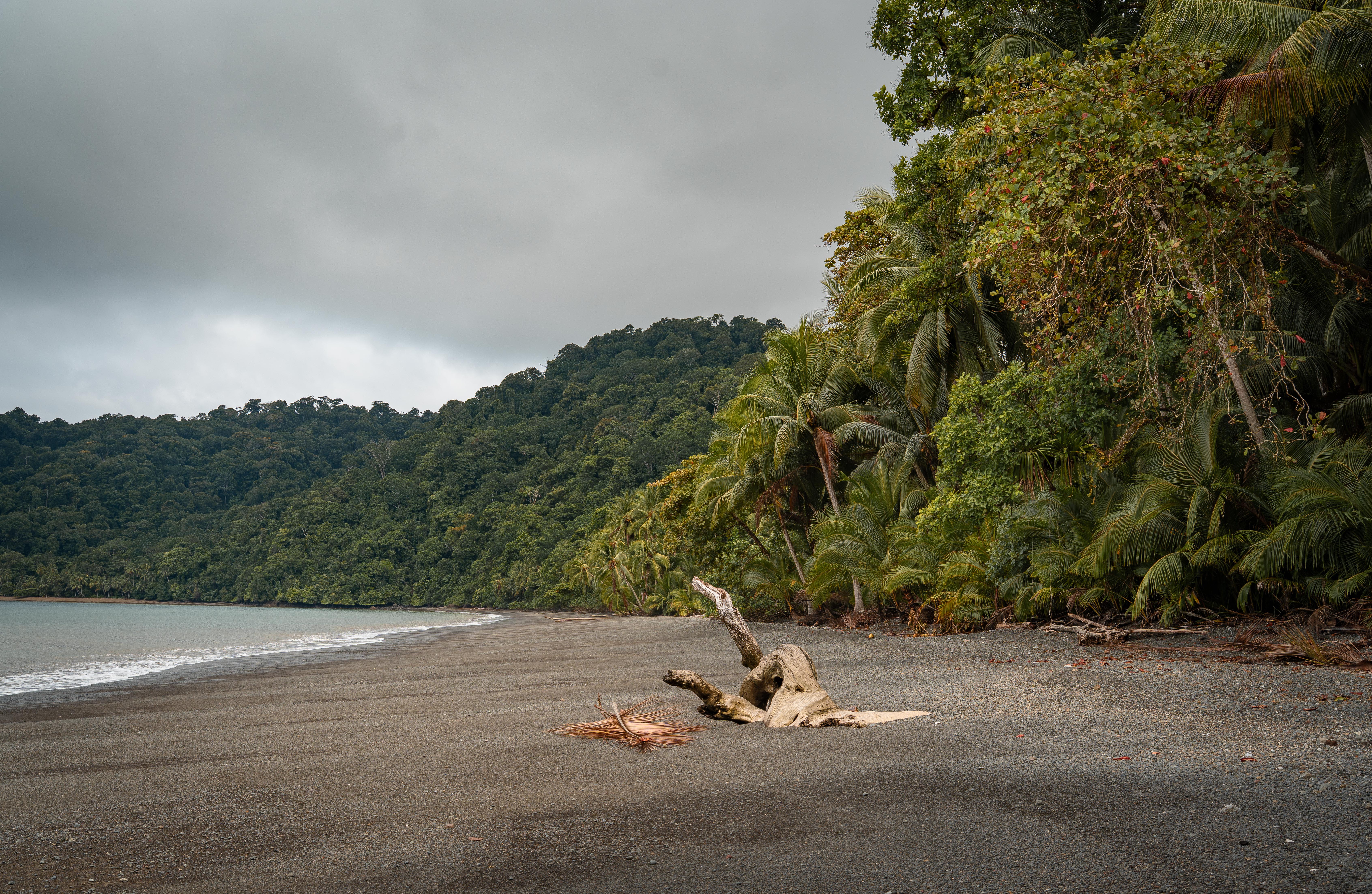 0 bed Land For Sale in Golfito, Puntarenas - thumb 15