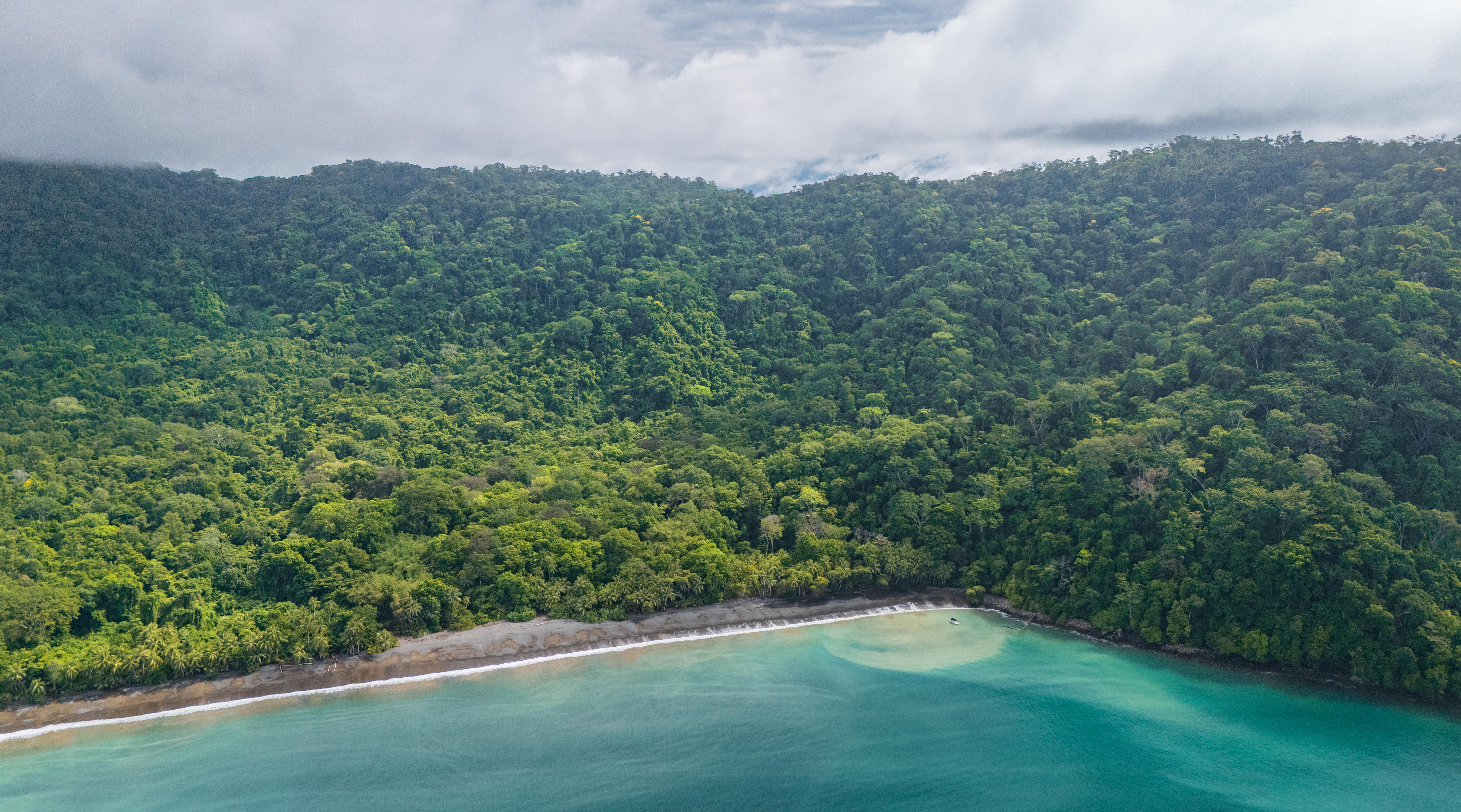 0 bed Land For Sale in Golfito, Puntarenas - thumb 11