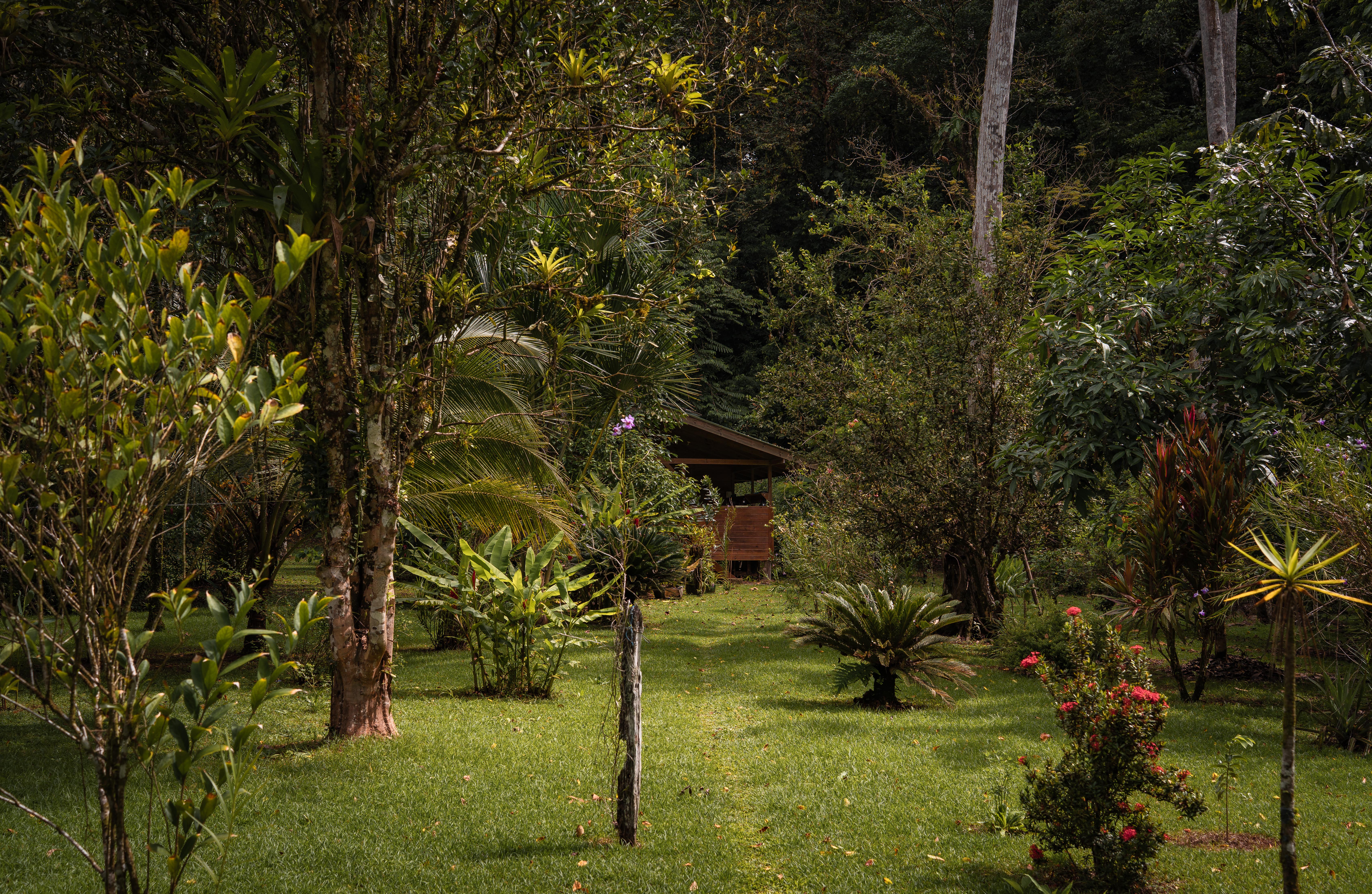 0 bed Land For Sale in Golfito, Puntarenas - thumb 12